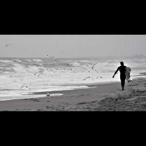 Meet your Posher, Johaan